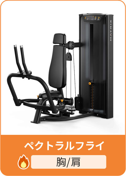 ペクトラルフライ