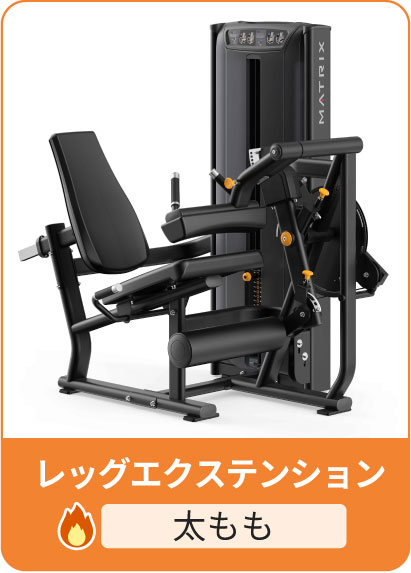 レッグエクステンション