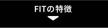FITの特徴