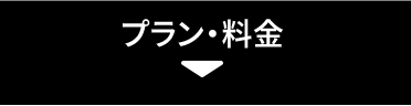 価格の強み