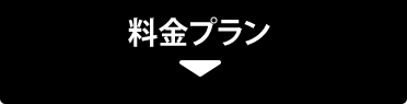 プラン料金