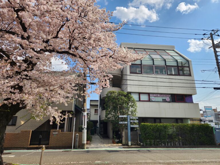 橋本　外観①